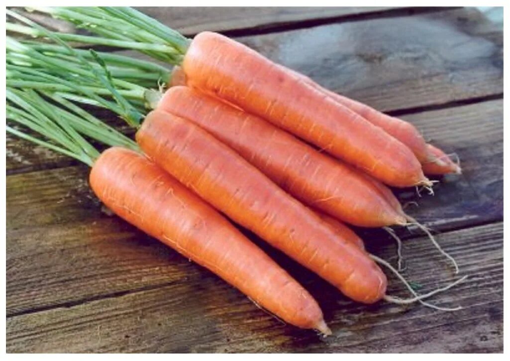 Морковь гибриды. Морковь болеро f1. Альтаир f1 морковь семена. Морковь Фидра f1. Морковь семена каррот Голанские.