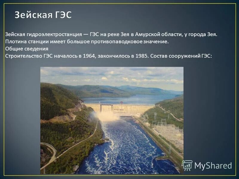 Гисметео зея амурская