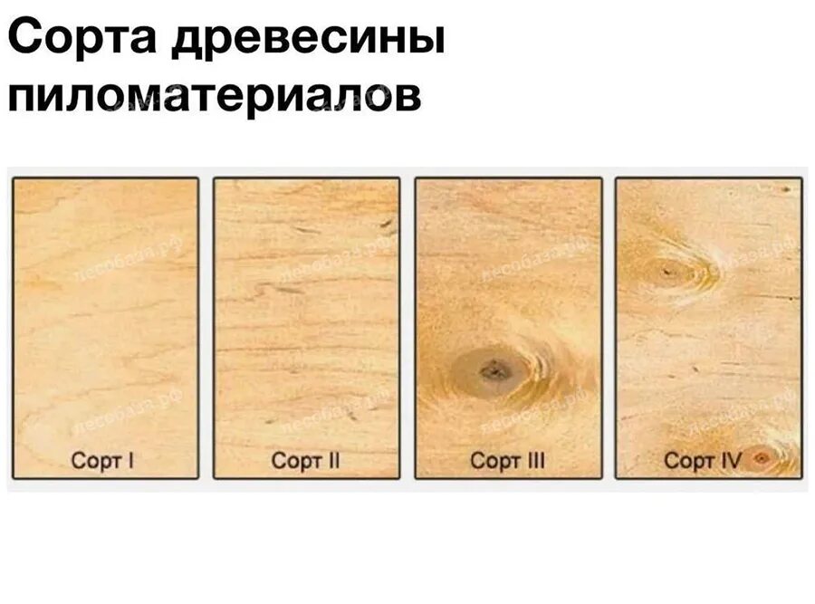 Сорта древесины хвойных