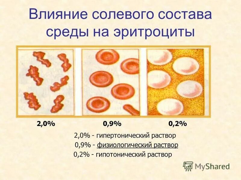 9. выполните вычитания 0 59. 0,59-0,27. Minecraft версия 1. крупные цифры для распечатки.