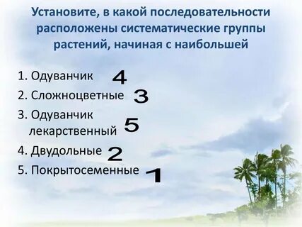 Установите последовательность систематических таксонов гадюка