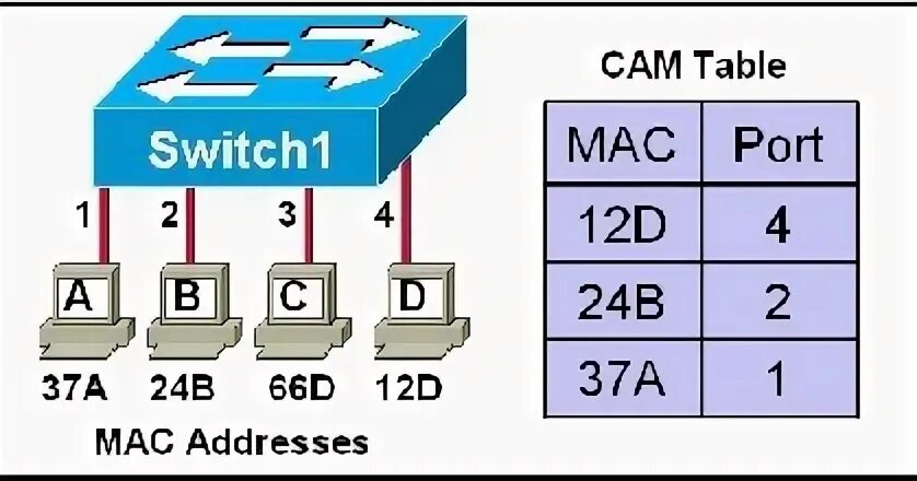 Table switch. Cam таблица. switch cam table. cam таблица коммутатора. switch cam таблица.