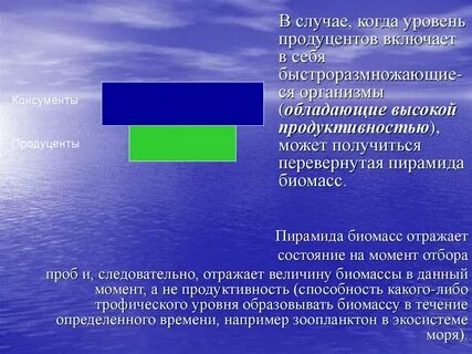 В водных экосистемах перевернутая пирамида почему