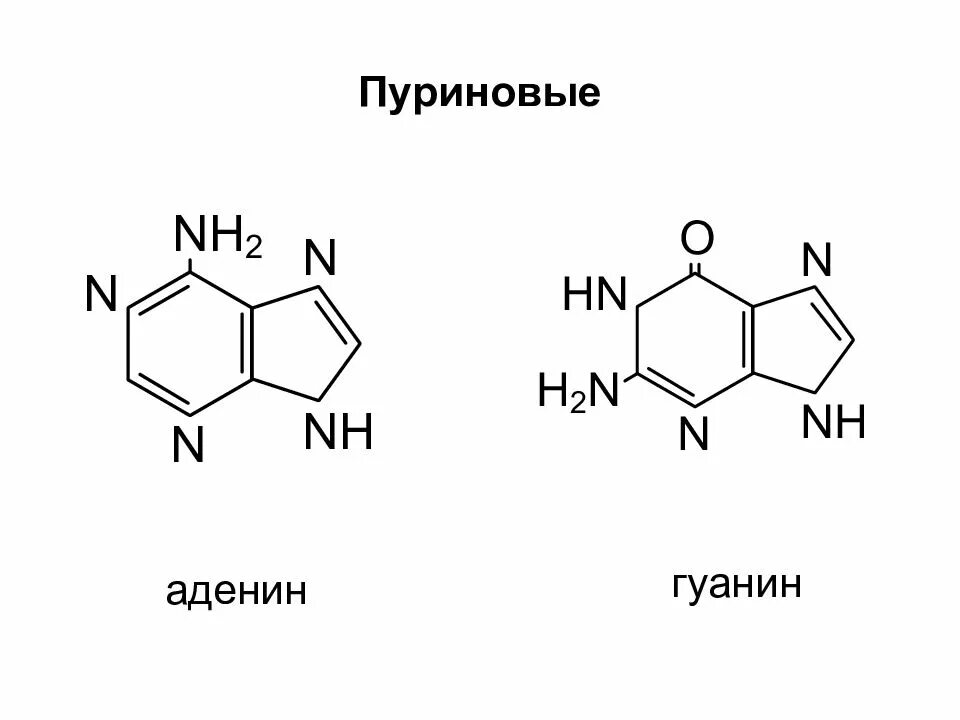 Тимин формула. Аденин гуанин формулы. Пуриновые основания формулы. Химическая формула гуанина. Аденин структурная формула.