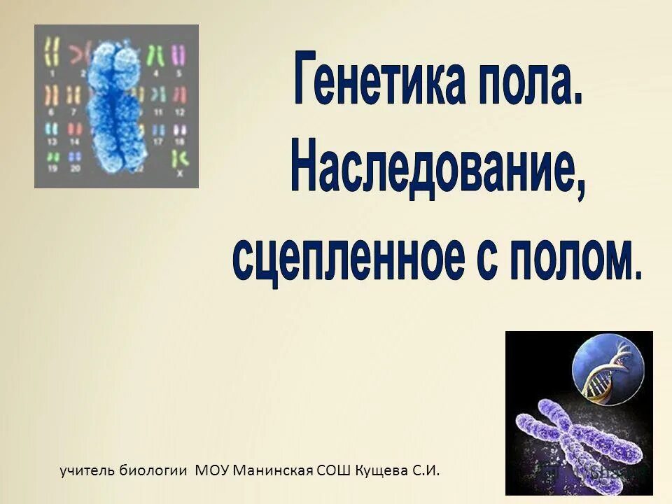 Генетика пола и наследование. Генетика пола. Генетика пола биология. Биология генетика пола и наследование сцепленное с полом. Генетика пола презентация.