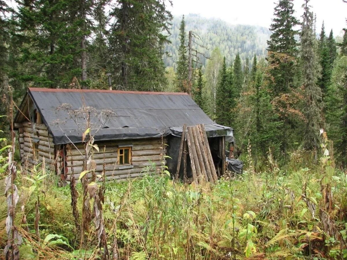 Таежные избы переславль. Поход избу. Таёжный сруб избы. Республика коми лесные избушки. Добрые походы.