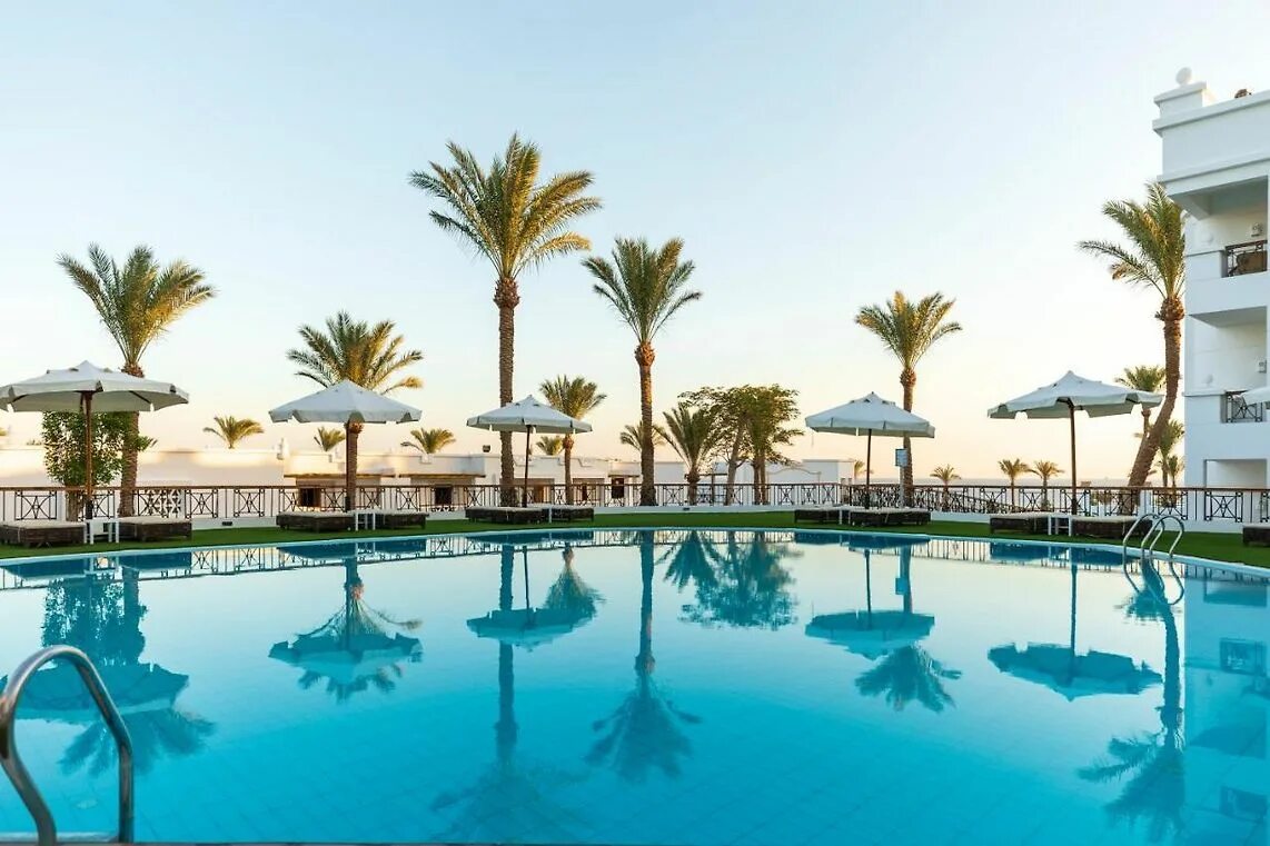 Sunrise remal beach шарм эль шейх. Санрайз ремал ресорт египет шарм-эль-шейх. санрайз ремал резорт шарм. sunrise отель египет шарм-эль-шейх remal. sunrise remal 5 шарм-эль-шейх.