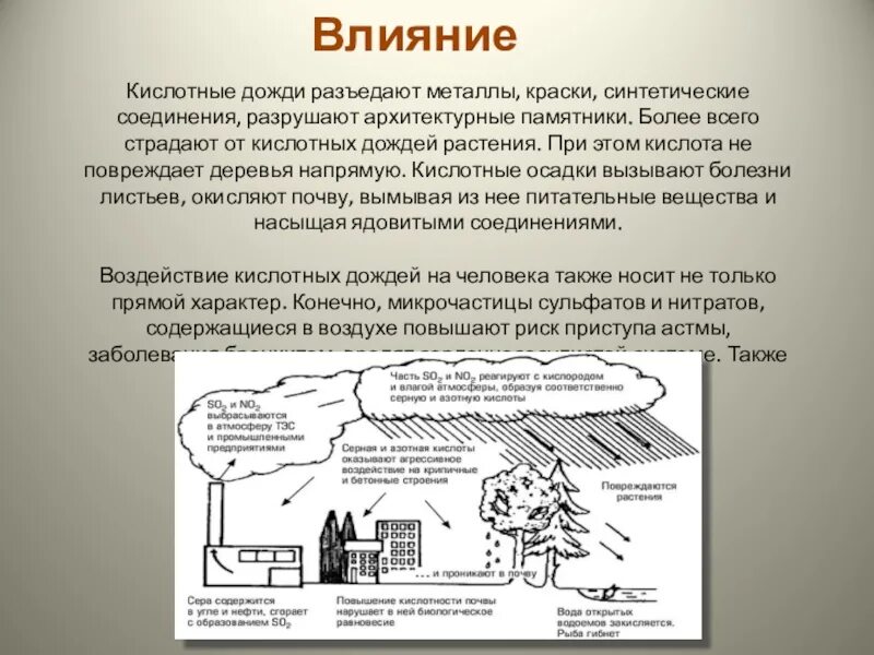 Кислотные дожди. Кислотные дожди презентация. Кислотные осадки. Влияние кислотных дождей.