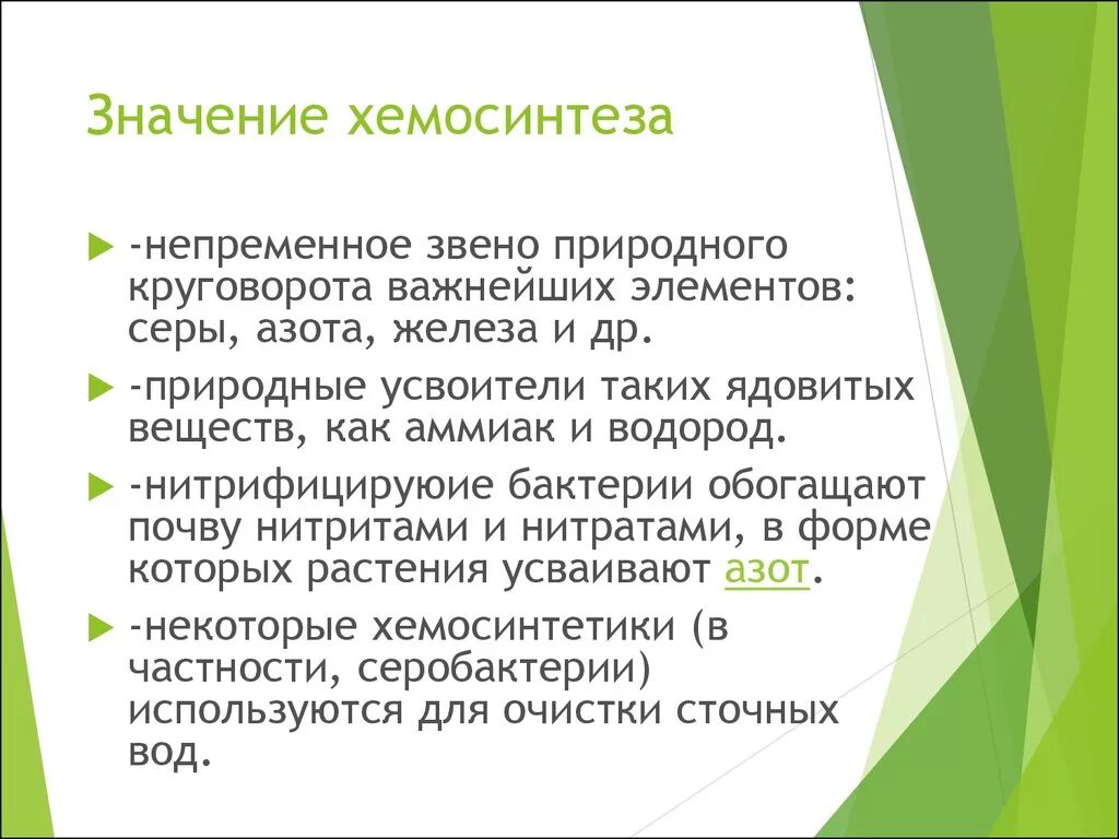 Что такое хемосинтез расскажите о значении