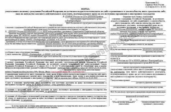Подача о втором гражданстве. Форма уведомления о втором гражданстве 2025. уведомление о втором гражданстве образец.