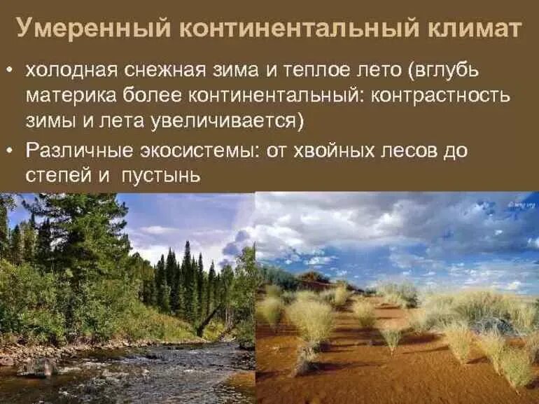 Почему в чите климат более континентальный. Умеренный континентальный климат. Почему в чите климат более континентальный. Почему в чите климат более континентальный. Типы климата.