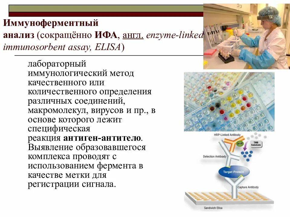 Метод ифа суммарный. Метод иммуноферментного анализа (ифа).. ифа схема проведения. схема постановки реакции ифа. ифа микробиология схема.