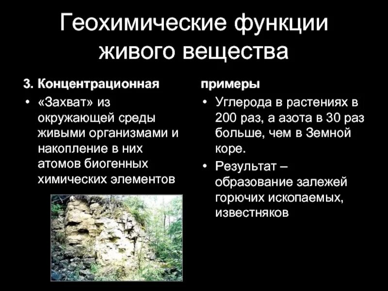 Геохимическая функция живого вещества. Геохимические функции живого. Примеры геохимических функций живого вещества. Геохимическая функция биосферы. Базальт биогенное вещество