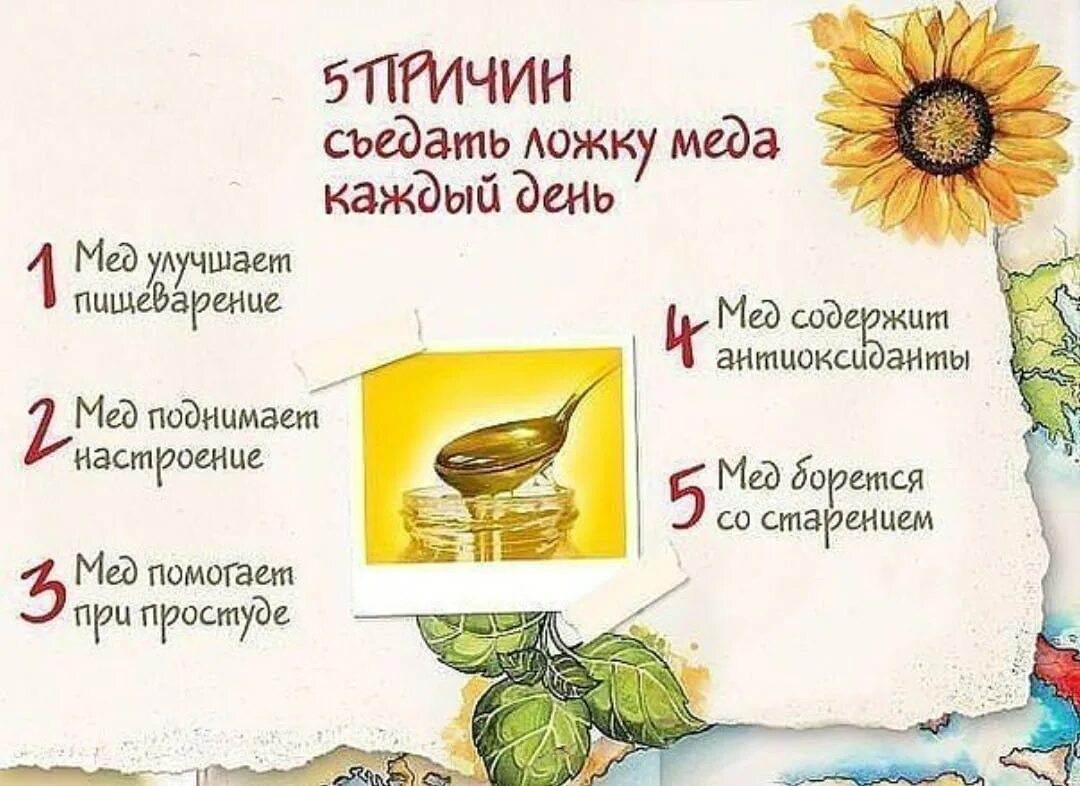 Если каждый день съедать ложку меда. Если каждый день съедать ложку меда. Если каждый день съедать ложку меда. Съесть корицу. Если каждый день съедать ложку меда.