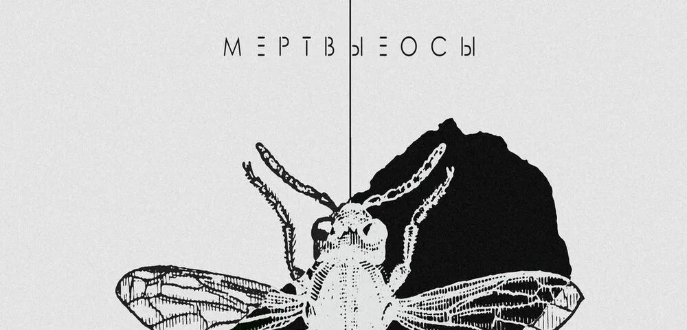 Мертвые осы. Мёртвые осы группа. Мёртвая Оса! Мёртвые осы. Мёртвые осы обложки. Мертвые осы я буду твоим