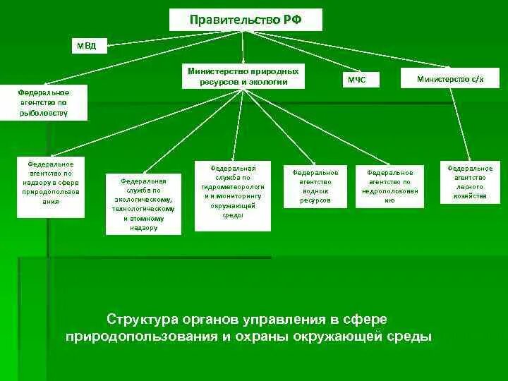 Система органов гос экологического управления РФ. Система органов Министерства природных ресурсов и экологии. Структура и компетенция органов экологического управления РФ. Органы государственного управления в сфере природопользования.