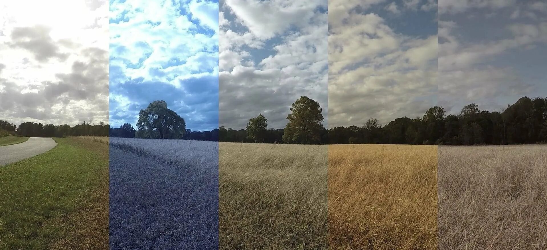 Баланс белого. Баланс белого в фотоаппарате. Баланс белого в фотографии. Разный баланс белого в фотографии.