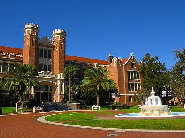 University of florida