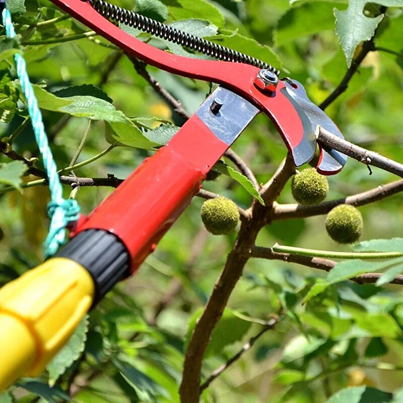 Удлиняем секатор. Секатор Garden Tools. Сучкорез мк115. Творница секаторы. Ветки деревьев секатор.