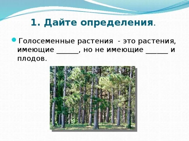 Впр голосеменные растения 7 класс. Ребус Голосеменные растения. Голосеменные растения Белгородской области. Биология 5 класс ребус Голосеменные. Голосеменные растения не имеют цветка и плода.