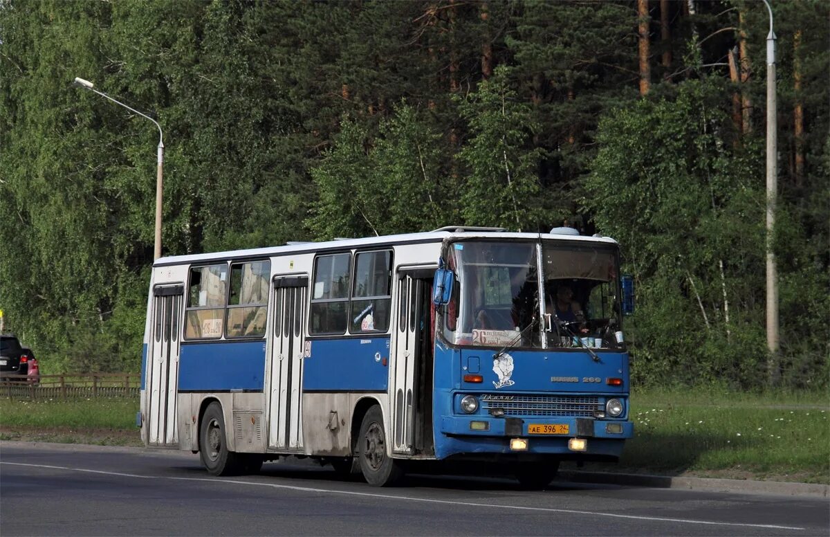 Икарус 260.50. Икарус 260 Железногорск. Икарус Железногорск. Автобусы Железногорск Красноярский. Железногорск тревога