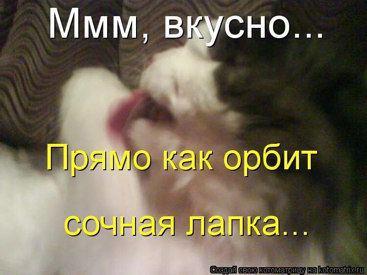 ммм вкусняшка. ммм вкусно картинка. шутки про вкусно и точка. вкусно мем. ммм вкусно.