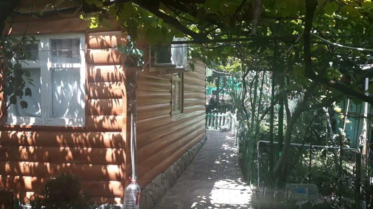 Агой краснодарский край снять