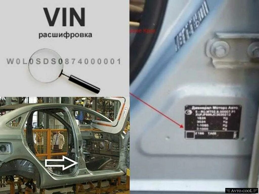 Vin весты