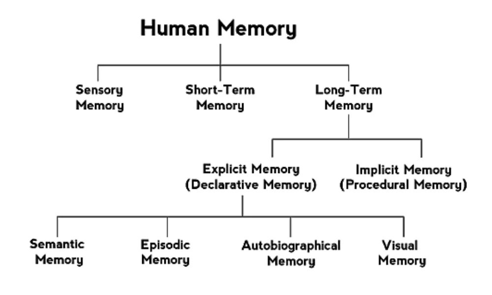 Types of Memory. Types of Human Memory. Main Types of Human Memory. Two Types of Computer Memory. Human types