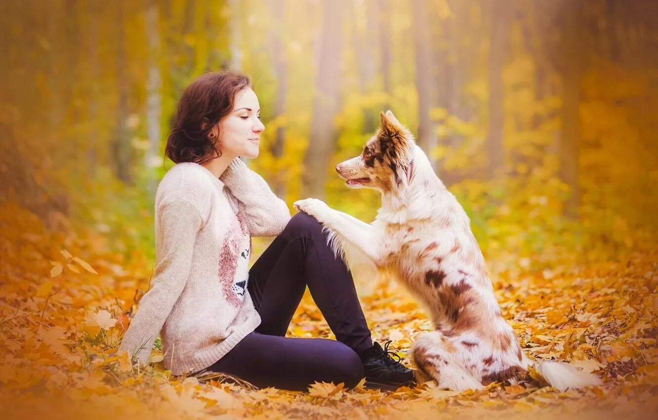 Woman with animals. Фотосессия с собакой. Девушки и животные. Девушка с собакой. Фотосет с собакой.