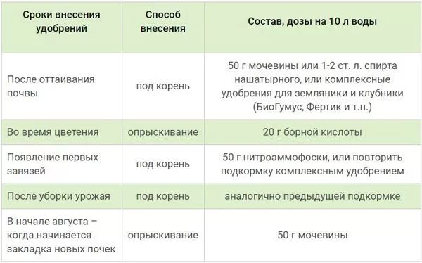 Подкормка малины весной до цветения. Таблица внесения удобрений для клубники. Схема подкормки клубники. Схема внесения удобрений для клубники. Подкормка земляники весной схема.