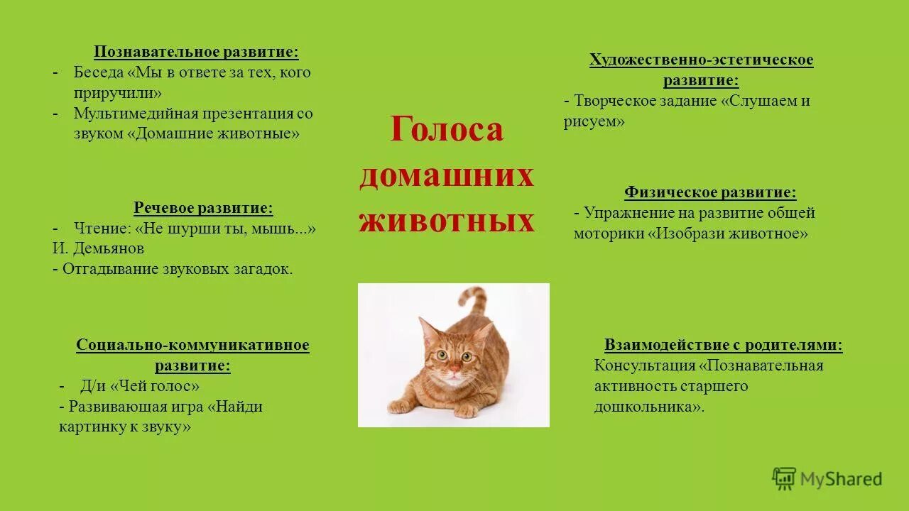 познавательное развитие беседы