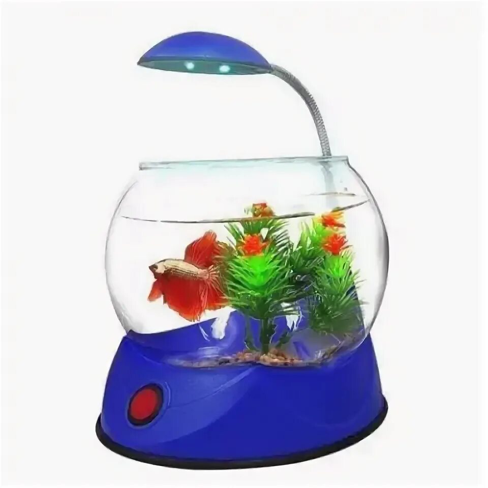 Аквариум шар 5л. Подарочный аквариум с петушком. Высокий аквариум. Hailea v01bl 2,5 л - синий. Аквариумный набор 17 л (крышка, подставка) aa aquarium gold fish bowl.