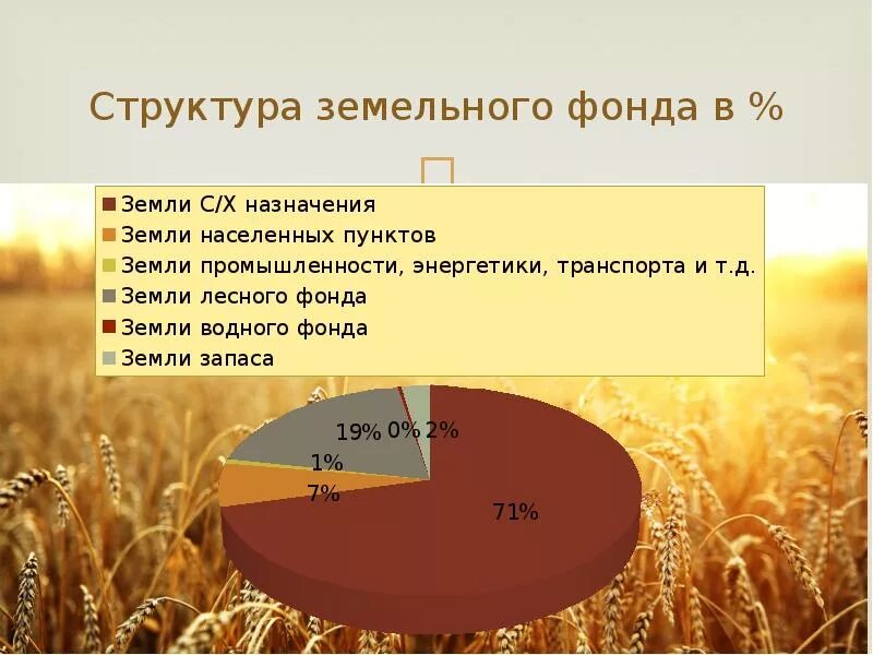 Особенности размещения земельных ресурсов. Структуразеиельного фонда. структура земельного фонда. структура земельных ресурсов. земельный фонд.