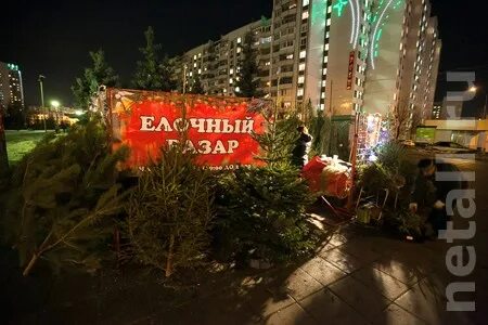 Елочный базар зеленоград
