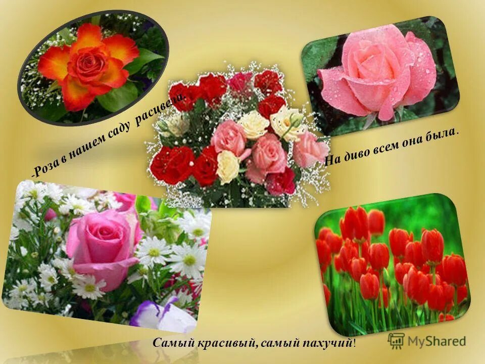 хороша всем на диво