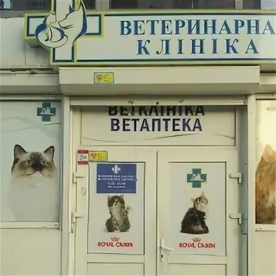Гомеовет интернет магазин ветеринарная аптека для животных. Ветеринарная клиника. Ветеринарная клиника Москва. Ветеринарная клиника Южное Бутово. Круглосуточная ветеринарная клиника.