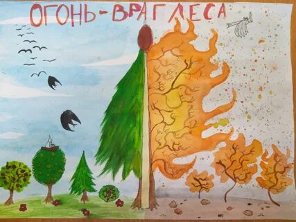 Пожар враг леса рисунки