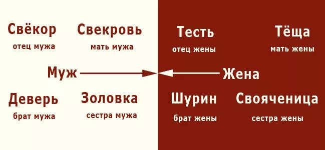 Как называют бывшую жену. Свекровь и тесть. Тесть отец жены. Сноха свекровь золовка тесть. Кто такая тесть.