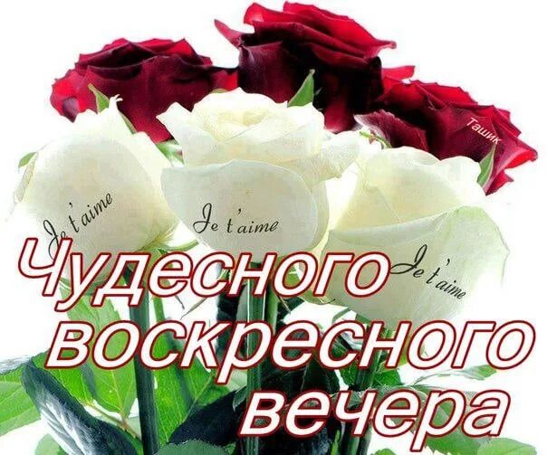 Пожелания воскресного вечера картинки. Доброго воскресного вечера. открытки с воскресным вечером. прекрасного воскресного вечера. доброговаскресного вечера.