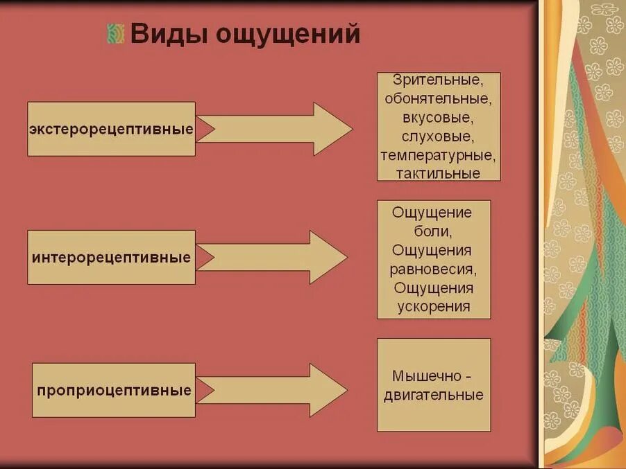 Привести пример ощущения. Виды ощущений. Виды ощущений в психологии. Классификация ощущений по расположению рецепторов. Виды ощущений ЗР тельные.