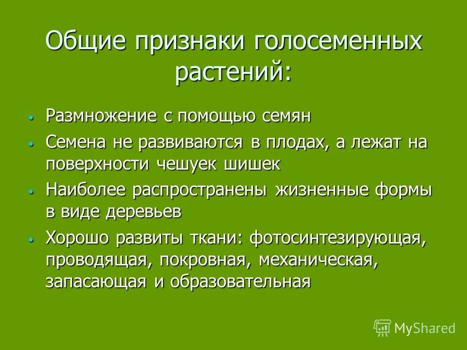 Голосеменные основные характеристики. Основные признаки голосеменных. Характеристика отдела Голосеменные. Характеристика голосеменных растений. 5 основных признаков растений