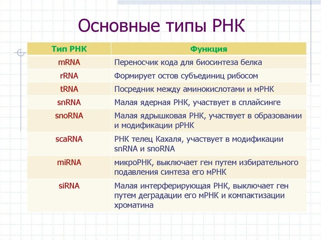 4 виды рнк. Функции разных видов РНК В клетках. Строение и функции основных типов РНК. Функции различных типов РНК. Строение и основные функции молекулы РНК.