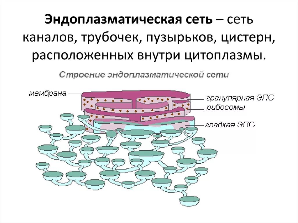 Сеть трубочек