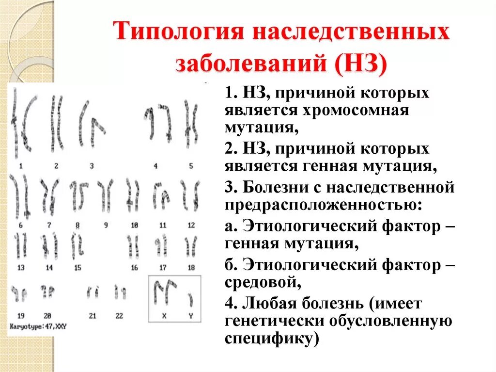 Генные и хромосомные заболевания. Хромосомные наследственные болезни. Генетические и хромосомные заболевания. Профилактика хромосомных мутаций. Типология генетических заболеваний.