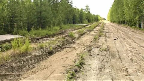 Заливаемая дорога