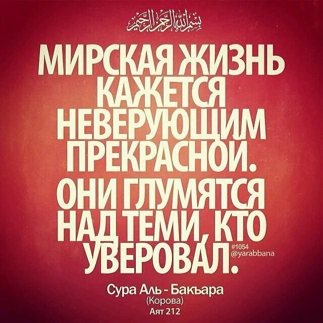 мусульманские высказывания. исламская жизнь. цитаты про ислам. исламские афоризмы. дети в исламе цитаты.