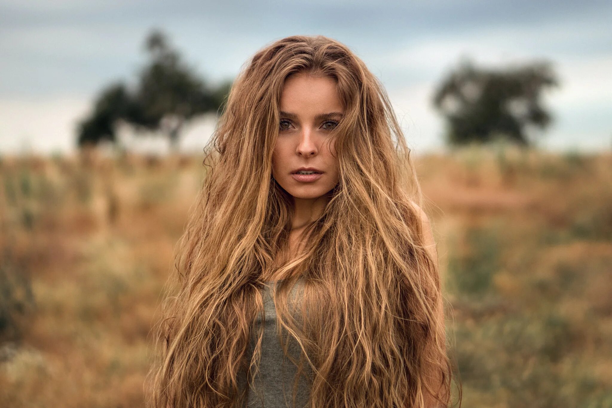 Models field