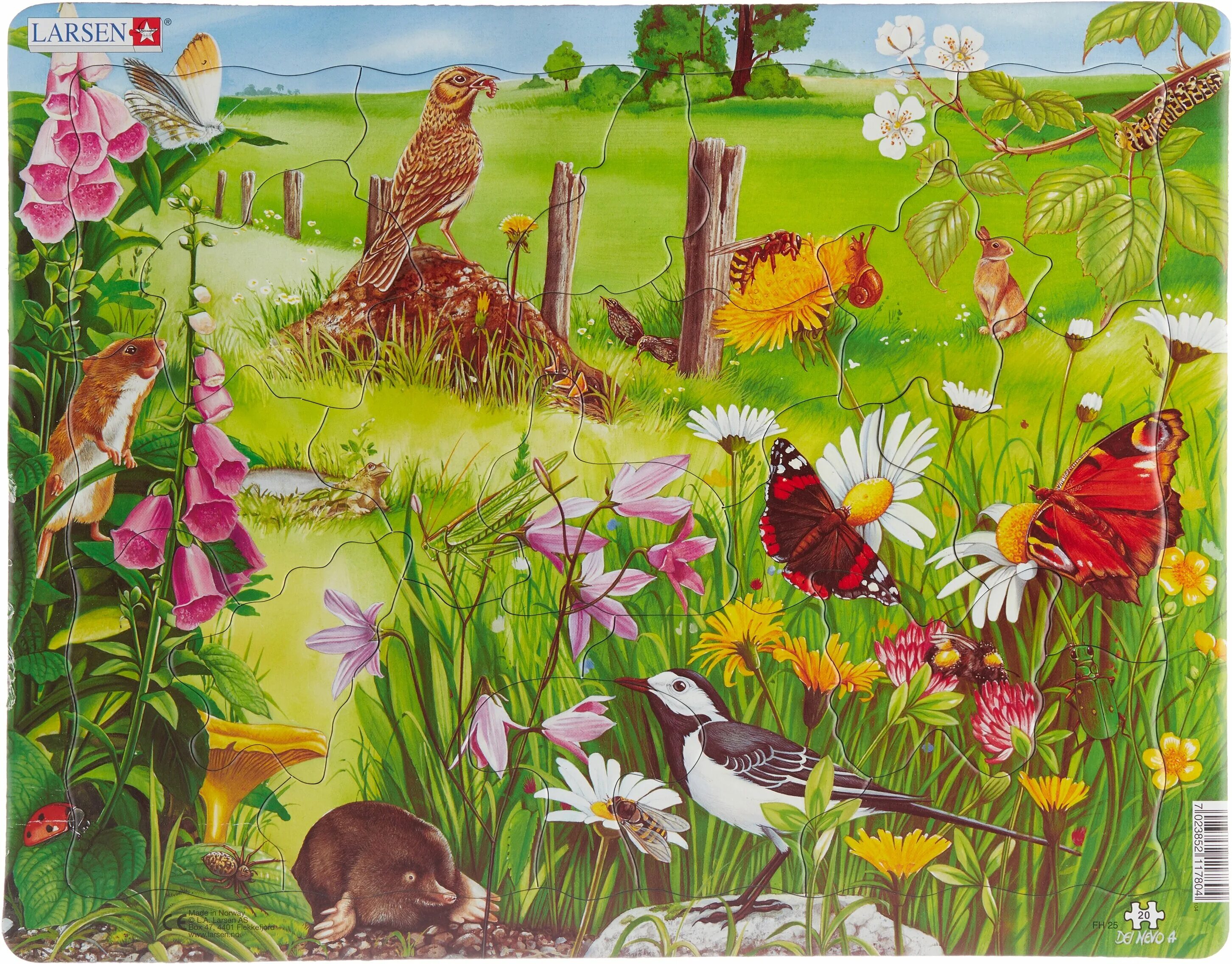 Компоненты биоценоза дубравы. Дикие животные в лесу. Лес -экологическая система. Природное сообщество леса. Природное сообщество животных.