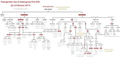 Z 1 b z